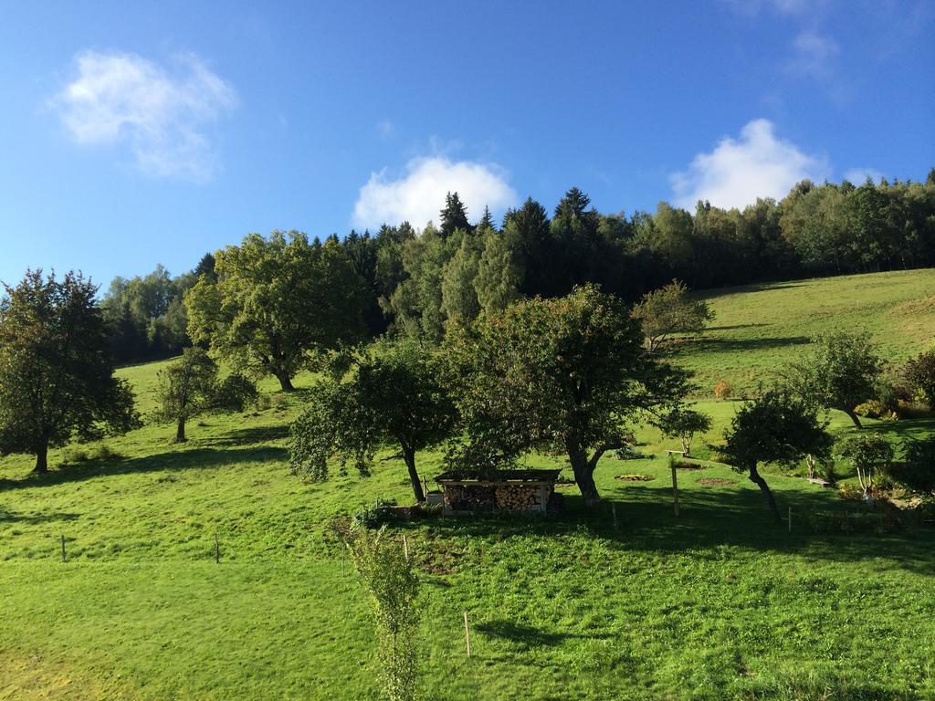 Le Floralp Aparthotel Combloux Exterior foto
